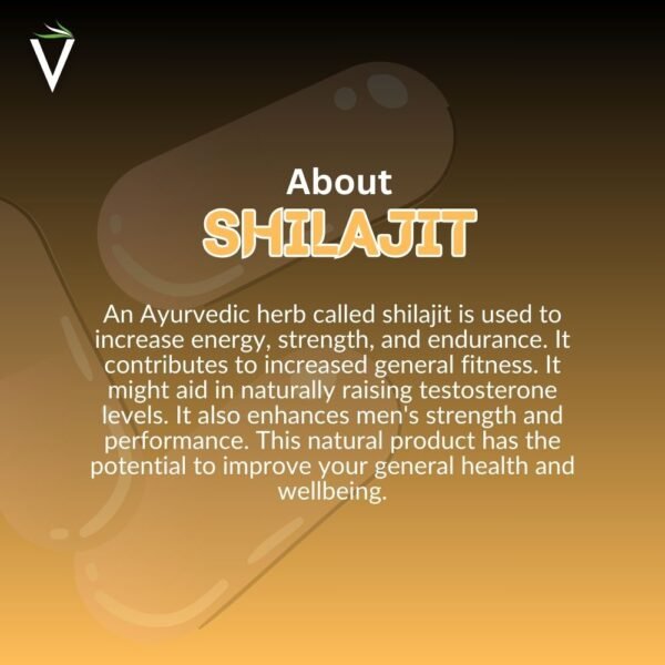 About Shilajit