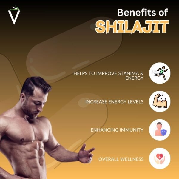 Benefits of shilajit capsule